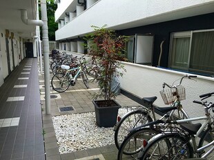 武蔵小杉駅 徒歩12分 4階の物件内観写真